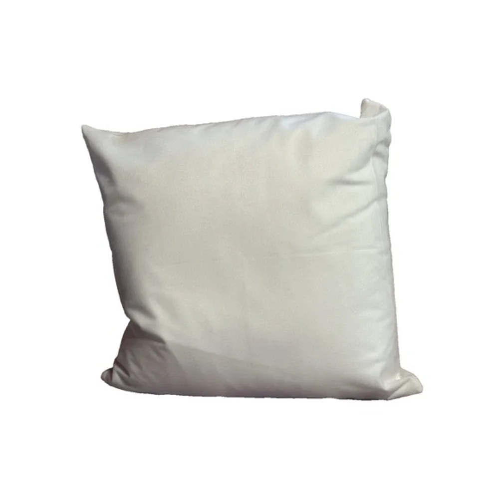 NEW novelty throw pillow‎ 18x18 inches pillowcase & insert included bald eagle